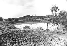 3 children drown in farm pond in Vijayapura district of Karnataka - The  Hindu