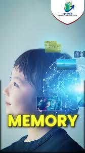 Did you know that repeating bedtime stories can improve your child’s  memory? Every night, these familiar tales strengthen recall and support  cognitive development. Make bedtime a bonding experience ...