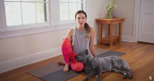Check spelling or type a new query. Adriene Mishler 10 Minute Yoga Core Conditioning Workout Yoga With Adriene Sweatvida