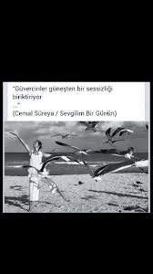 Guvercinler Gunesten Bir Sessizligi Biriktiriyor Cemal Sureya Siir