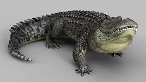 3d Alligator Animations Model Turbosquid 1450473 In 2020 Alligator Animation Uvs