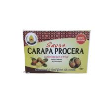Image result for Carapa procera