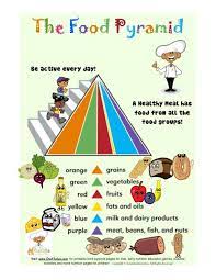 Food Group Colors Of The Food Pyramid Color Guide Food Pyramid Food Pyramid Kids Kids Vegetables