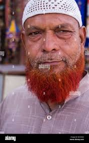 Orange beard hi-res stock photography and images