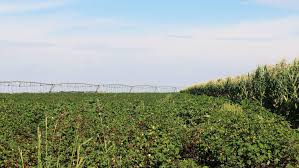 How to buy farm land in texas. Texas Ranches For Sale Find Large Farm Ranch Properties