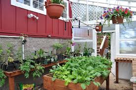 images?q=tbn:ANd9GcQCZon9XcZ-KsKKFWhY7Da