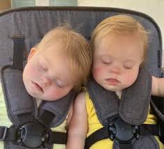 Mother's Response to Cruel Comments About Her Twins