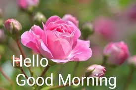 top 10 good morning images greeting pictures photos for whatsapp good morning morning images good morning images