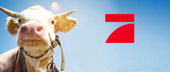 Pro7 hatte die show erstmals im jahr 2004 gezeigt, 2011 lief die zweite staffel im tv. Comeback Noch 2021 Prosieben Holt Die Alm Zuruck Dwdl De