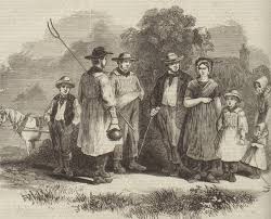 Farm Labourers Strike ...