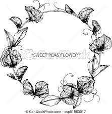 Susse Erbsenblume Zeichnen Und Zeichnen Mit Schwarz Weiss Linienart Canstock