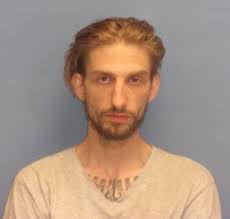 Suspects arrested after fleeing police following Willoughby carjacking