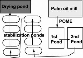 Tank digestion and facultative ponds: The Pathway Of Pome Treatment By The Anaerobic Pond System Download Scientific Diagram