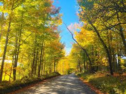 🍂🧡 • • •  #canon#70D#canon_photos#canonusa#teamcanon#canon_photos#canon_ig#landscapephotography#landscape_lovers#naturephotography#nature_perfection#nature_brillance#sunsetporn#ig_bestshots#instalike#fallphotography#beforeandafter#ig_myshot  ...