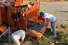 Toms howard b tree surgery inc is located at 22 vitti st, new canaan, ct 06840. Bronx Tree Service Tree Cutting Removal In Bronx Harlem 718 450 9292 Bronx Tree Company