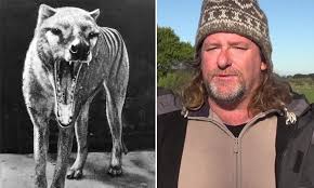 The tazmanian tiger, the thylacine. Tasmanian Tiger Hunter Says He Ll Live In The Bush For Two Years To Prove They Are Still Alive Daily Mail Online