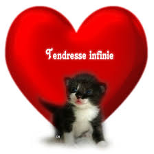 Résultat de recherche d'images pour "chat et coeur"