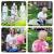 Reveal Ideas Outdoors Gender Reveal Themes