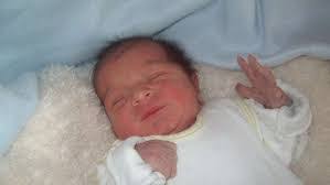 Denise Brzozowski's Instagram, Twitter & Facebook