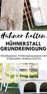 Huhner Im Garten Huhnerstall Kalken Reinigen Vorbeugen Gegen Rote Vogelmilbe In 2020 Huhner Im Garten Huhner Huhner Und Hahne