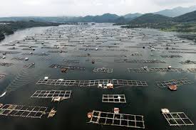 Pekerjaan Keramba Perinus Ajukan Gugatan Wanprestasi Ke Kkp Kabar24 Bisnis Com