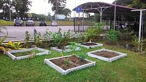 Terdapat banyak jenis herba yang boleh di komersilkan dibawah pprogram ini seperti tongkat ali, kacip fatimah, misai kucing, dokong anak, belalai gajah dan sebagainya. Taman Mini Herba Kosass Kolej Sultan Alaeddin Suleiman Shah