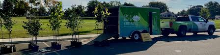 Image result for Tree Green 2018 Fleet