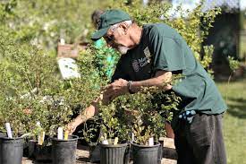 Master Gardeners To Sell Multitude Of Starts Peninsula Daily News