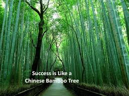 Learn how to say different kinship terms in chinese when i was growing up in china, before any weddings, parties, or family reunions, my mom always. Success Is Like A Chinese Bamboo Tree