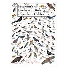 Pin On Posters Birds Nature