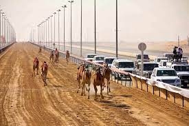 The camel race is a competition scheme between adcos participating assets and functions with this measure tracks the well test rate for active strings where each active producer string needs to be. Al Marmoum Camel Race Track Dubai