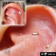 Repost Stab Rat Fresh Flat Piercing With Bodygems 14k Yellow Gold Disk Helix Piercing Not Done By Me Pie Helix Piercing Heart Piercing Flat Piercing