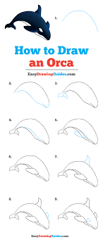 Draw the upper and lower body section back towards the tail. Pin On Orcas