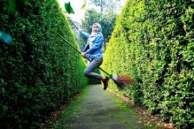 Misalkan untuk perpanjangan sim c, biaya yang wajib dikeluarkan untuk pnbp sebesar rp 75.000. Lokasi Dan Harga Tiket Masuk Taman Labirin Coban Rondo Malang Serunya Bermain Petak Umpet Di Tengah Tumbuhan Hijau Daka Tour