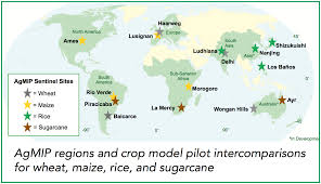 In addition, exports to countries within caricom do not attract the common external tariff, which gives guyana's exports an advantage over those imported from the world market. Why Agmip Agmiporg