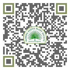 Image result for Ctenium