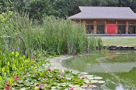 Yuko En Friendship Garden On The Elkhorn Georgetown Kentucky Www Yukoen Com Garden Photos Japanese Garden Photographer Names