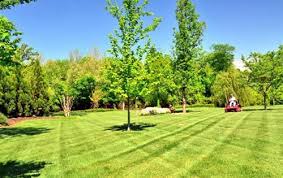 With networx, you can be sure there is a professional landscaper to help you with your next project. Lawn Care Appleton Green Bay Kaukauna Kimberly Denmark Landscping Services Wisconsin Wi