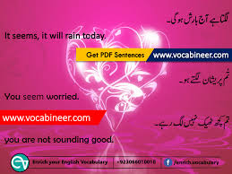 English To Hindi Sentences English To Urdu Sentences Hindi To English Sentences English To Hind English Vocabulary Basic English Sentences English Sentences