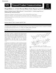 Image result for Drypetes gerrardii