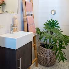 Watering your plant is a no brainer, but how often water plants and when water plants can be more tricky to tell. Best Plants For A Windowless Bathroom Apartment Therapy