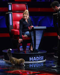 Hadise kimdir kaç yaşında soyadı ne? Hadise Kimdir Kac Yasinda Nereli Evli Mi Doncic Ten Dum Tek Tek Paylasimi