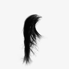 Pelo Largo Real Pelo Largo Real Cabello Real Png Y Psd Para Descargar Gratis Pngtree Long Hair Styles Hair Png Hair