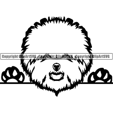 Bichon Frise Peeking Dog Breed Clipart Svg Clipart Svg Bichon Breed Clipart Frise Peeking Allbreedpedigree In 2020 Clip Art Pictures Bichon Frise Clip Art