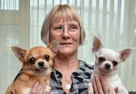 Dog owners from around South Holland head to Crufts for prestigious  competition