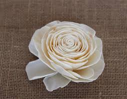 Roses, daisies, sunflowers, poinsettias, dahlias Sola Flowers Luv My Flowers Wholesale