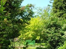 Park botanischer garten loismann von oben aus der vogelperspektive auf der karte an. Botanischer Garten Bonn Mit Parkartig Angelegtem Arboretum