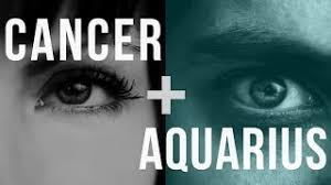 They may appear to have few common interests, but they share a very strong desire to succeed — which means they may make better business partners than lovers. Why Cancer And Aquarius Attract Each Other And Tips For Compatibility Pairedlife