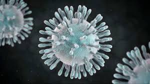 The residential permit parking (rpp) program was established in the 1970s to protect neighborhoods and ensure residents could find parking on their blocks. Coronavirus Esta Es La Cronologia Del Covid 19 En El Peru Y El Mundo Rpp Noticias