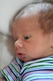 The Fleming Family: Update